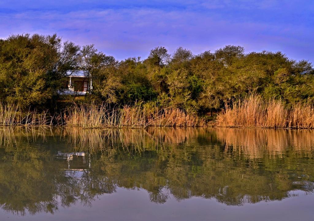 Umlambo River Lodge Kirkwood Εξωτερικό φωτογραφία
