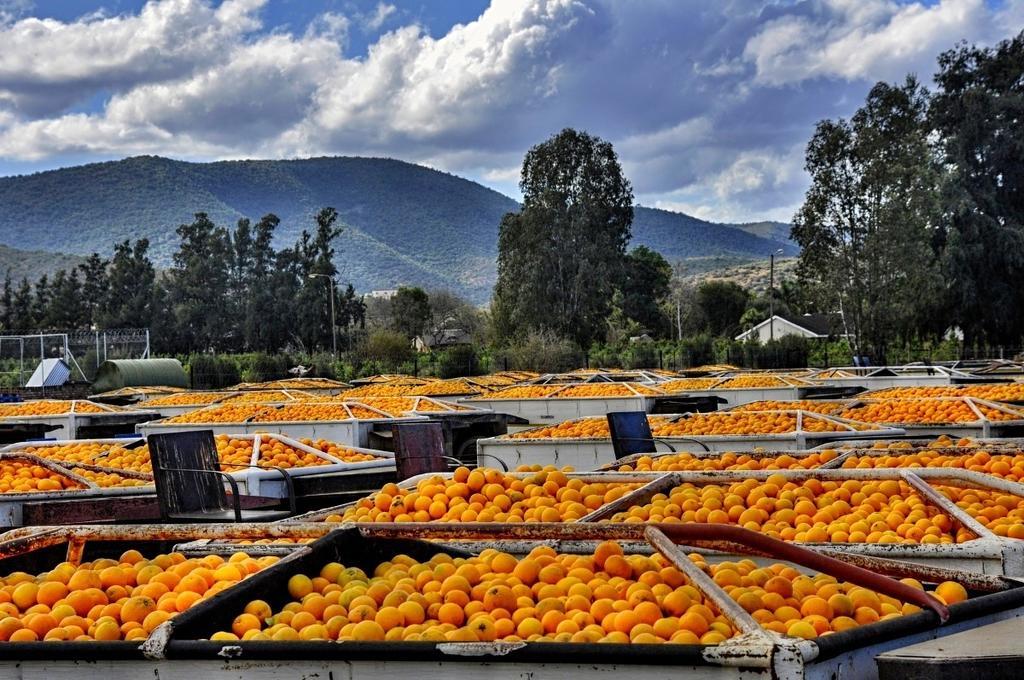 Umlambo River Lodge Kirkwood Εξωτερικό φωτογραφία