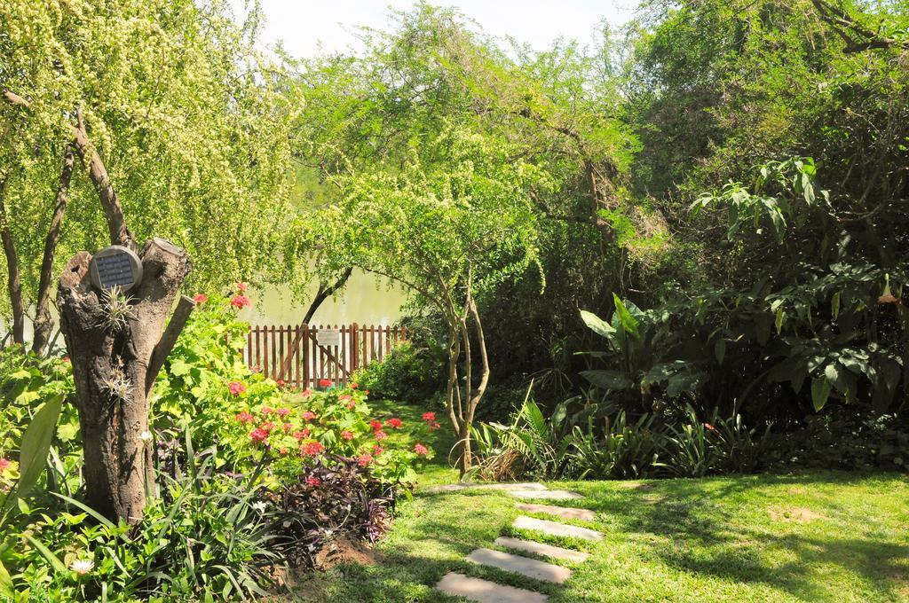 Umlambo River Lodge Kirkwood Εξωτερικό φωτογραφία