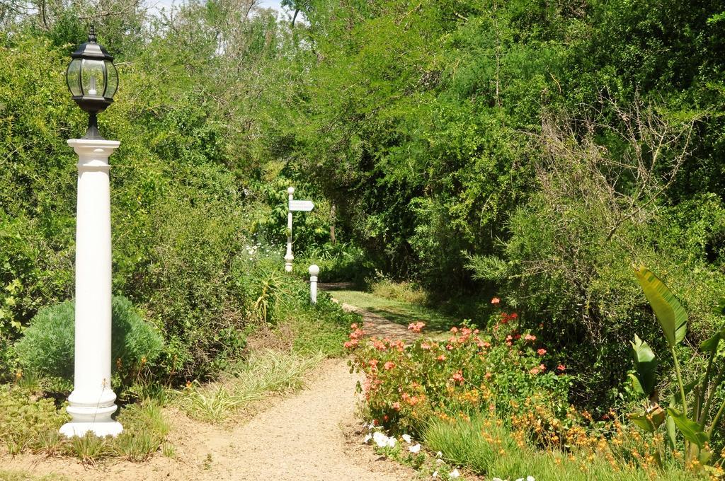 Umlambo River Lodge Kirkwood Εξωτερικό φωτογραφία
