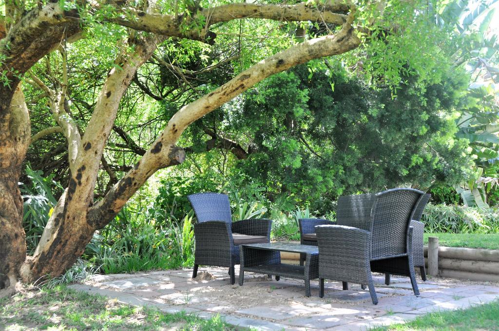 Umlambo River Lodge Kirkwood Εξωτερικό φωτογραφία