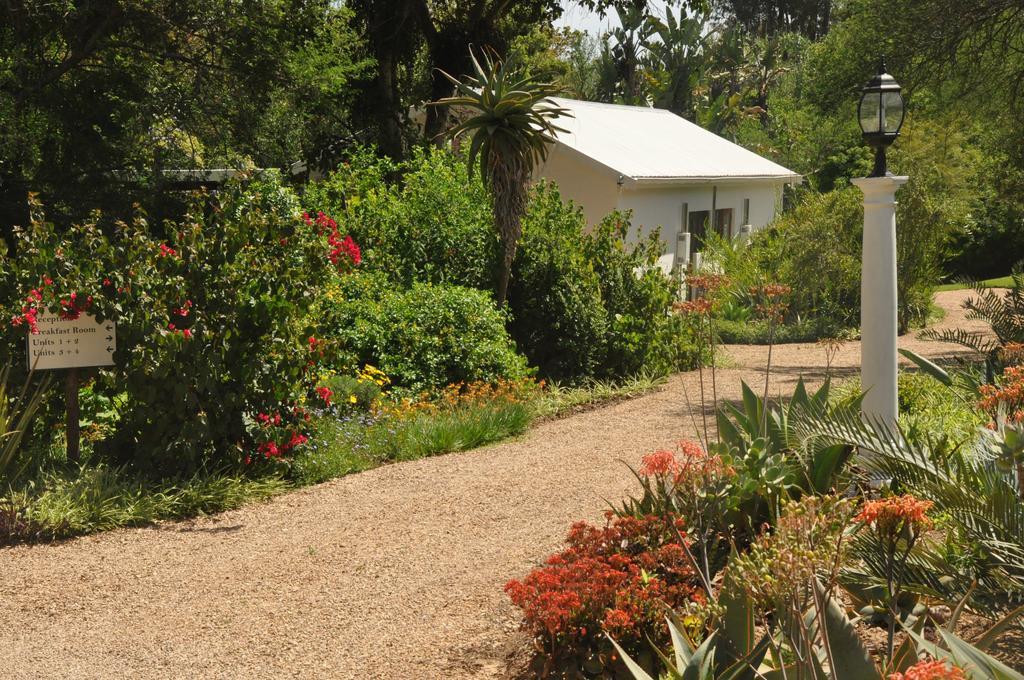 Umlambo River Lodge Kirkwood Εξωτερικό φωτογραφία