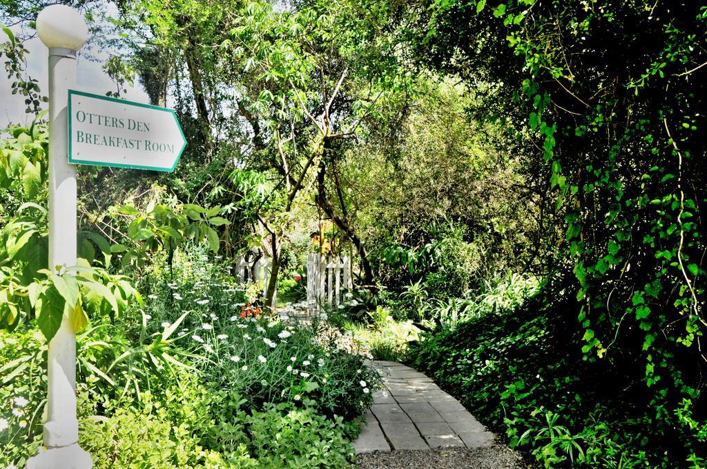Umlambo River Lodge Kirkwood Εξωτερικό φωτογραφία