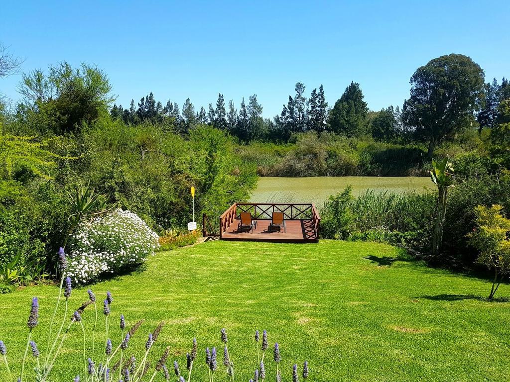 Umlambo River Lodge Kirkwood Εξωτερικό φωτογραφία