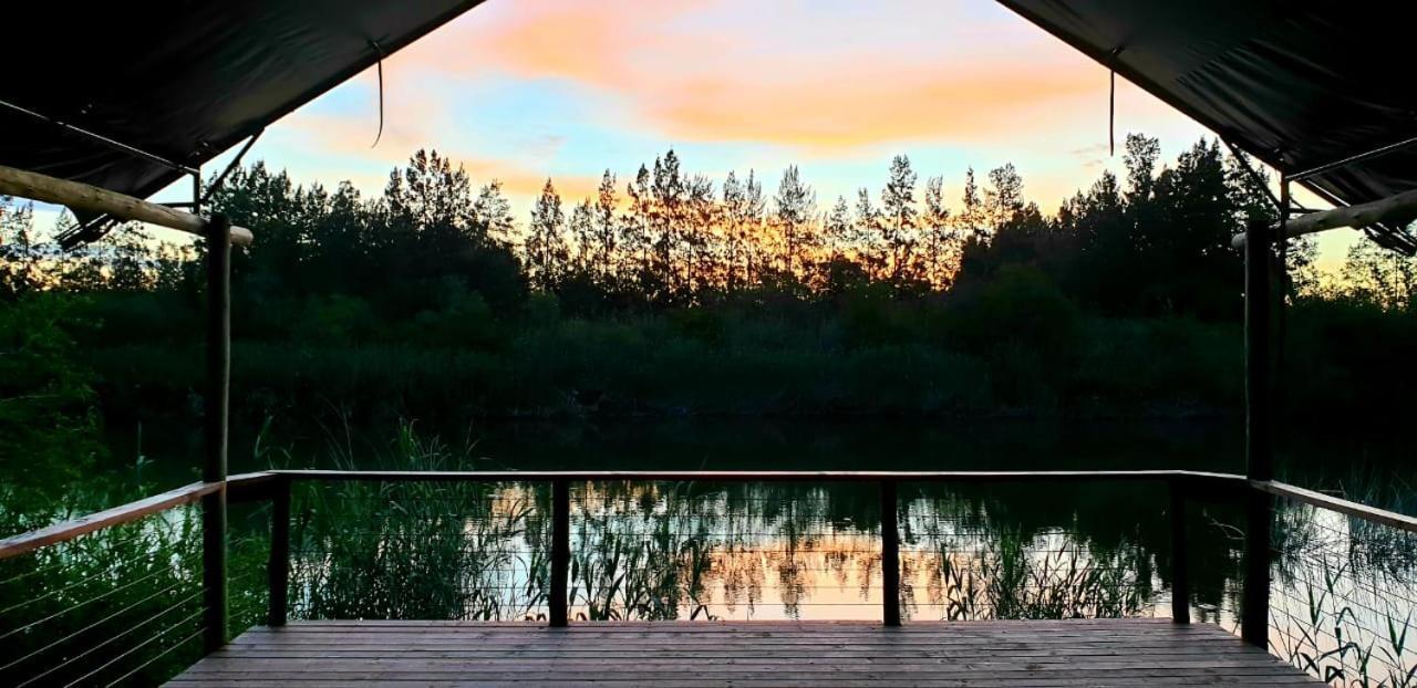 Umlambo River Lodge Kirkwood Εξωτερικό φωτογραφία